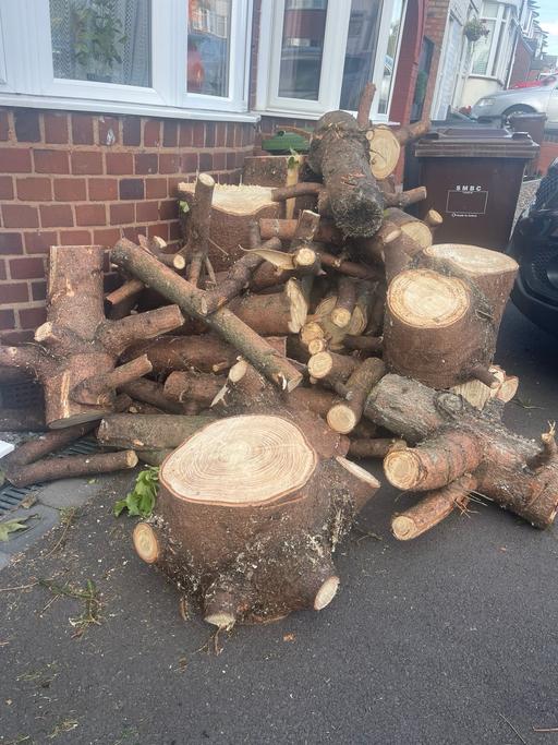 Buy & Sell Hall Green Birmingham - Photos for Tree cutting and hedges and grass and fence