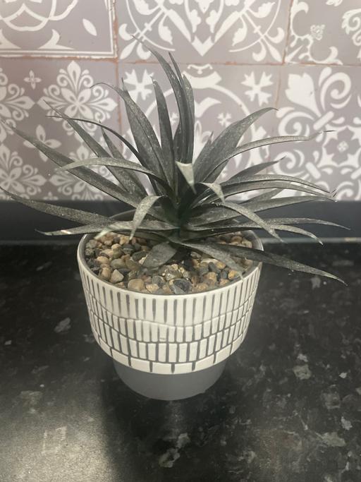 Buy & Sell Ward End Birmingham - Photos for Artificial plant