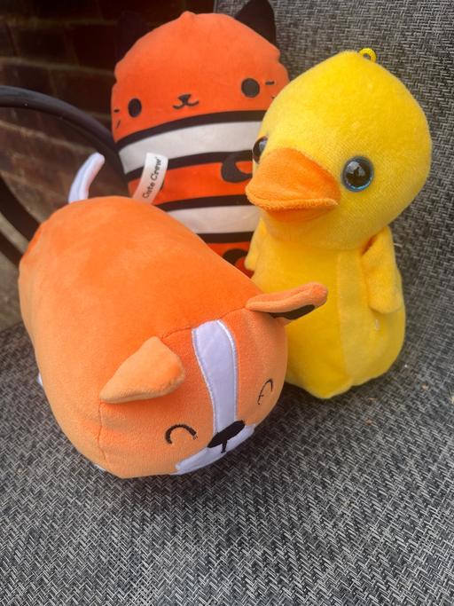 Buy & Sell Conisbrough Doncaster - Photos for 3 soft toys