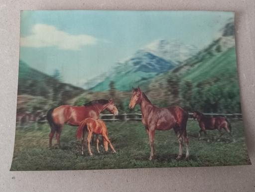 Buy & Sell Thatto Heath Saint Helens - Photos for Vintage 3d lenticular horse postcard