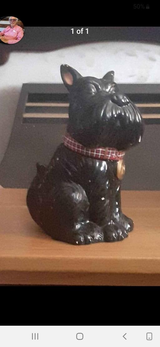 Buy & Sell Acocks Green Birmingham - Photos for scottie biscuit container