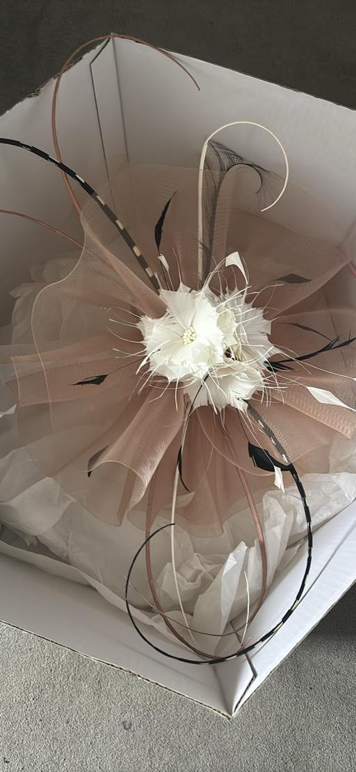 Buy & Sell Branton Doncaster - Photos for Large Fascinator