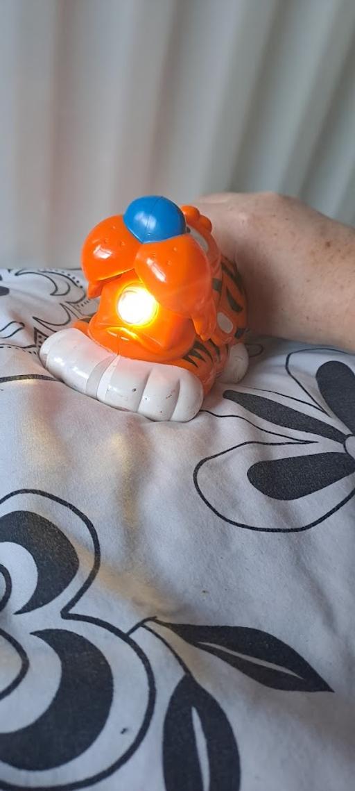 Buy & Sell Northfield Birmingham - Photos for 🐯 Fisher-Price Tiger Flashlight