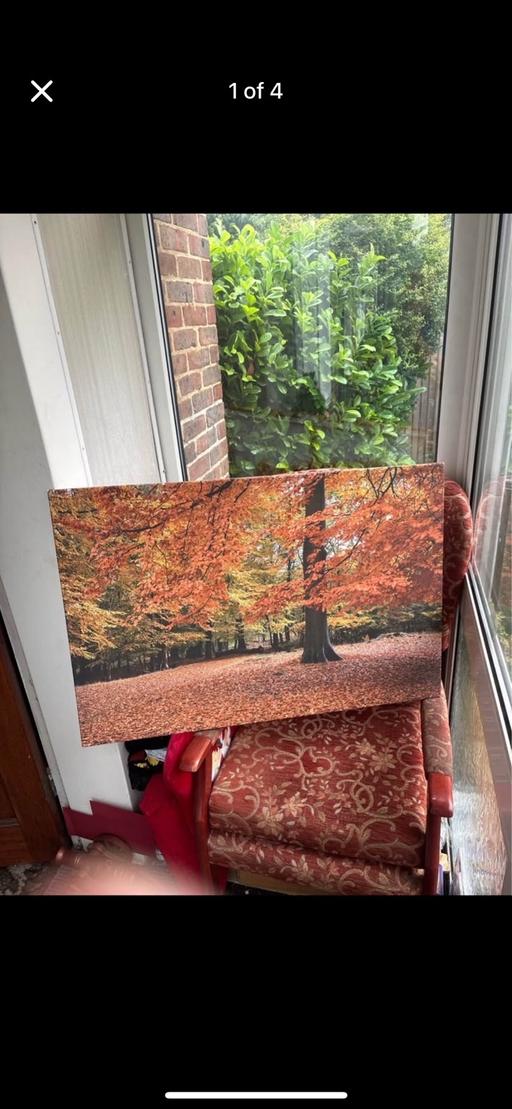 Buy & Sell Kidbrooke South East London - Photos for Lovely forest of autumn leaves large oil