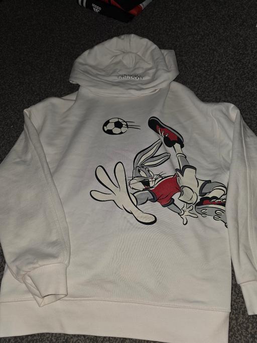 Buy & Sell Acocks Green Birmingham - Photos for boys mango hoody AGE 9-10 years