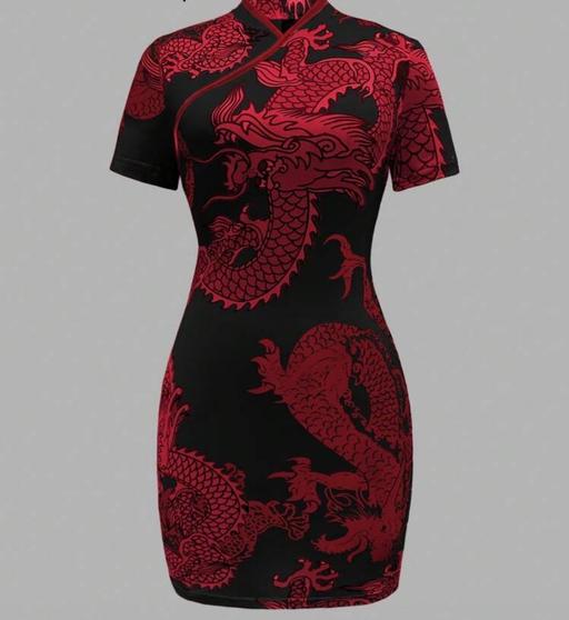 Buy & Sell Abbey Road North West London - Photos for Dragon pattern print mini dress