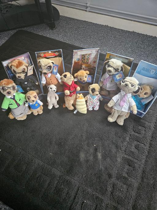 Buy & Sell Coseley Dudley - Photos for Collectable meere cat's