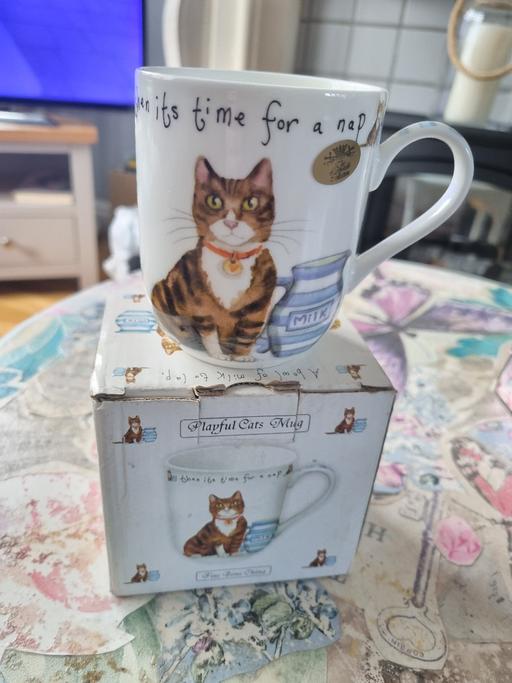 Buy & Sell Pendeford Wolverhampton - Photos for Leonardo playfully cats mug wv10 6tx