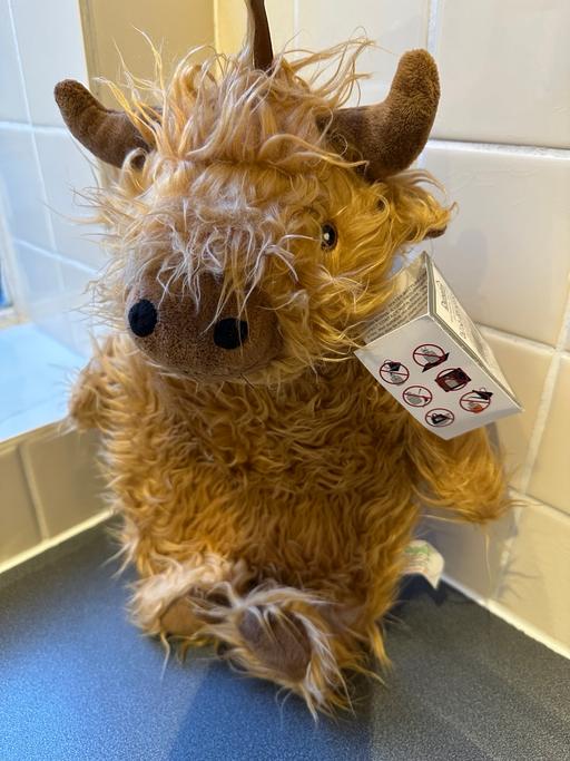 Buy & Sell Ravenscourt Park Station Hammersmith and Fulham - Photos for Hot Water Bottle - Highland Cow