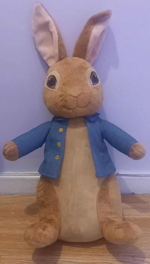 Buy & Sell Northfield Birmingham - Photos for Peter Rabbit Teddy about 18 inches tall