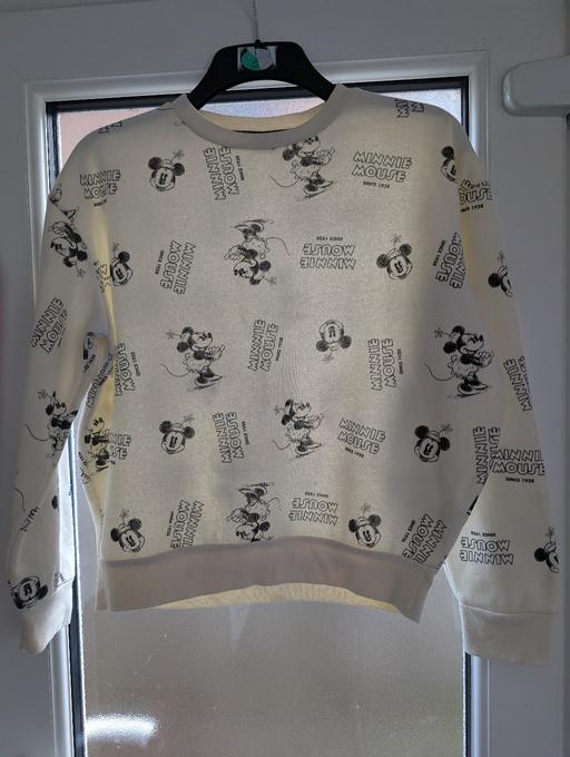 Buy & Sell Upper Gornal Dudley - Photos for Minnie mouse jumpers and teddy