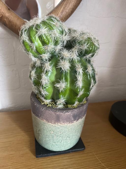 Buy & Sell Conisbrough Doncaster - Photos for Artificial cactus plant and pot