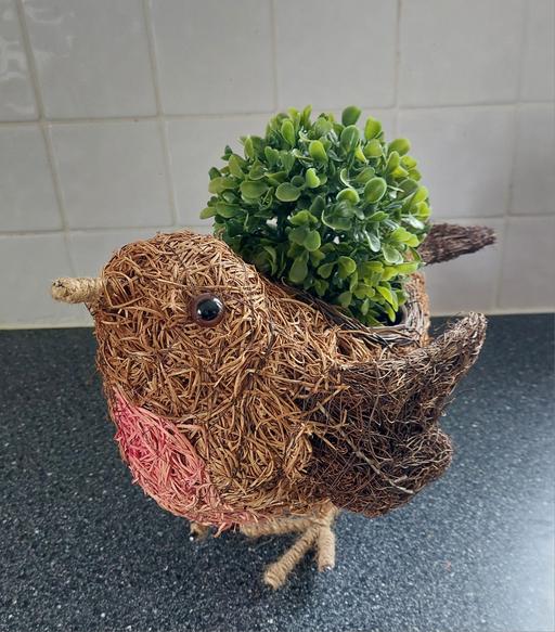 Buy & Sell Westgate-on-Sea Thanet - Photos for ROBIN PLANTER WITH PLANT