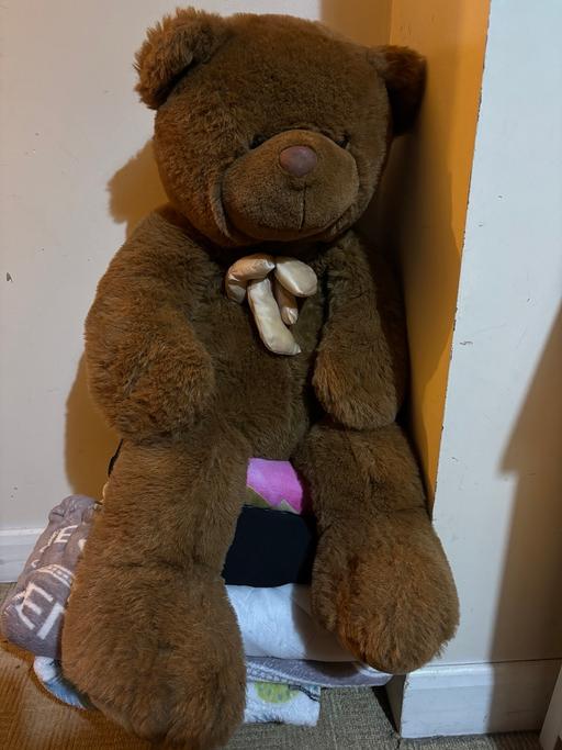 Buy & Sell Princes End Sandwell - Photos for Large brown cuddly bear