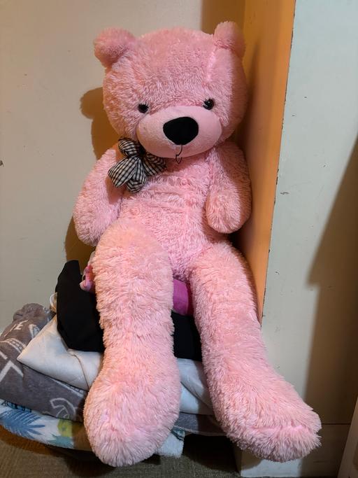 Buy & Sell Princes End Sandwell - Photos for Large pink cuddly bear