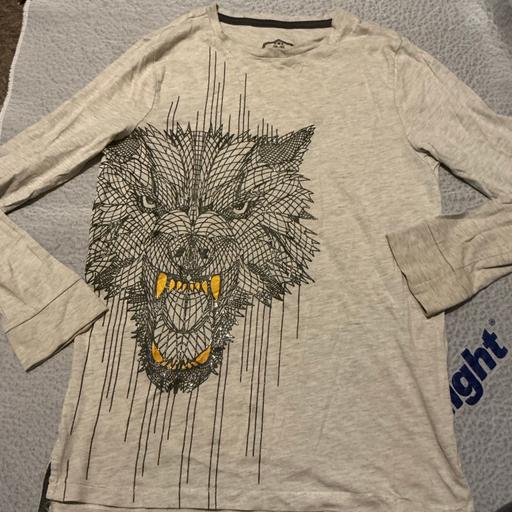 Buy & Sell Ringstead North Northamptonshire - Photos for Boys F&F wolf top 10-11 years