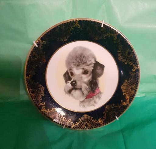 Buy & Sell Tyseley Birmingham - Photos for decorative Burmese dog plate