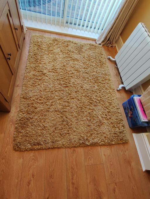 Buy & Sell Carter Knowle Sheffield - Photos for Rug