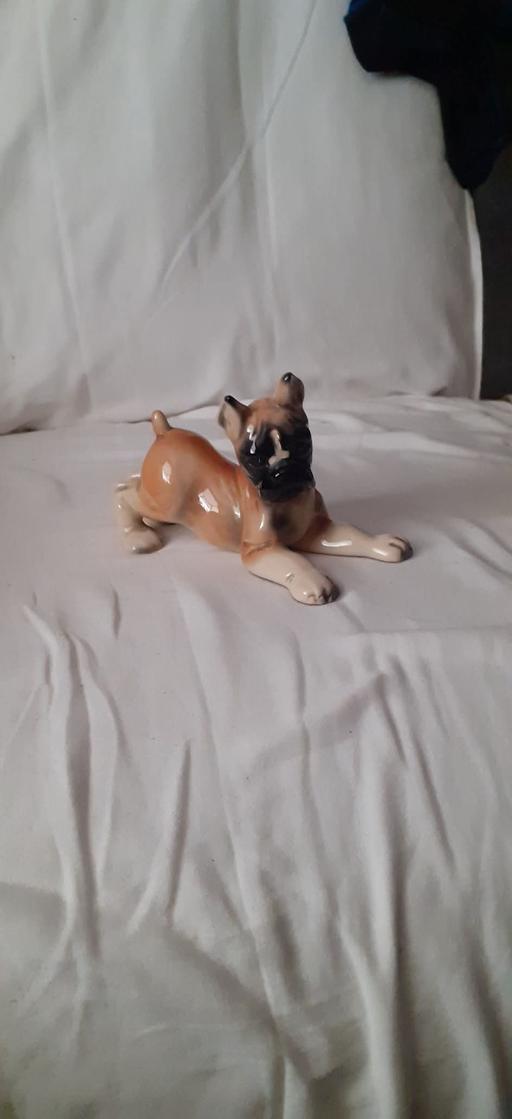 Buy & Sell Tyseley Birmingham - Photos for boxer dog ornament