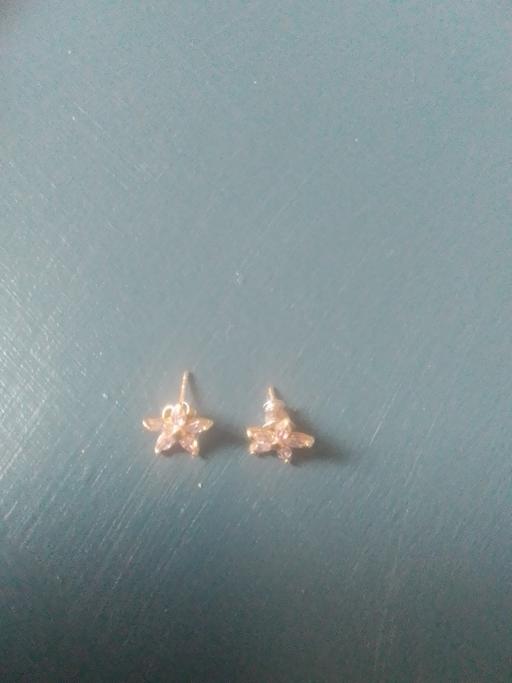 Buy & Sell Aldridge Walsall - Photos for PAIR OF PRETTY PINK FASHION EARRING NO BOX