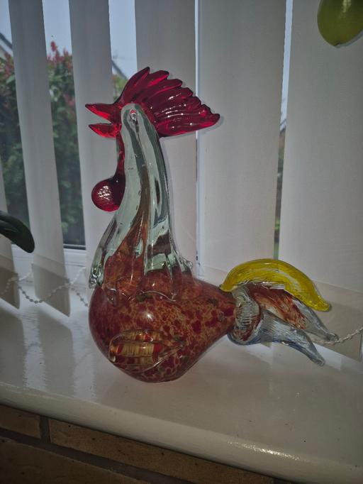 Buy & Sell Haydock Saint Helens - Photos for Glass cockeral 