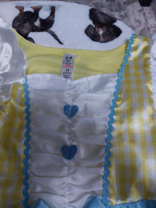 Buy & Sell Chertsey Runnymede - Photos for girls dress up Dorothy age 5-6 yrs