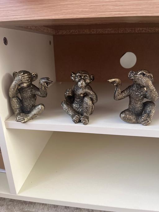 Buy & Sell Market Harborough Harborough - Photos for 3 monkeys