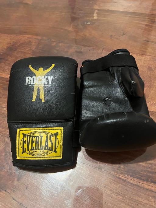 Buy & Sell East India East London - Photos for Everlast boxing gloves