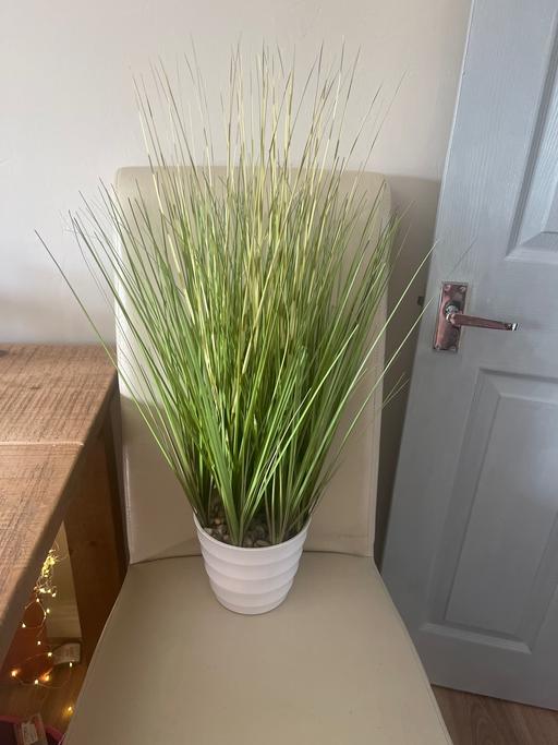 Buy & Sell Conisbrough Doncaster - Photos for Artificial grass plant in white pot like new
