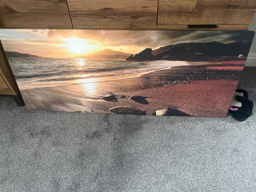 Buy & Sell Cadeby Doncaster - Photos for Beautiful canvas beech sunset rectangle