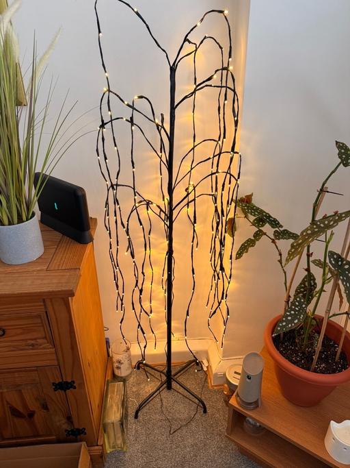Buy & Sell Ordsall Salford Salford - Photos for Tree with lights