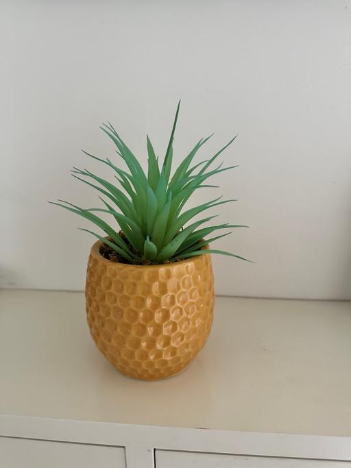 Buy & Sell Watford Three Rivers - Photos for Faux plant £2