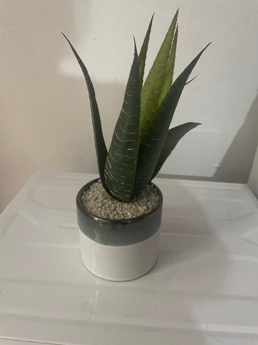Buy & Sell Bordesley Green Birmingham - Photos for Artificial plant