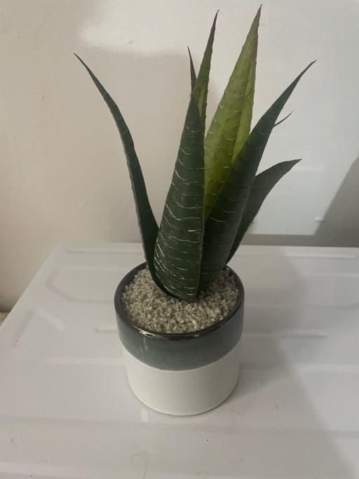 Buy & Sell Stechford Birmingham - Photos for Artificial plant