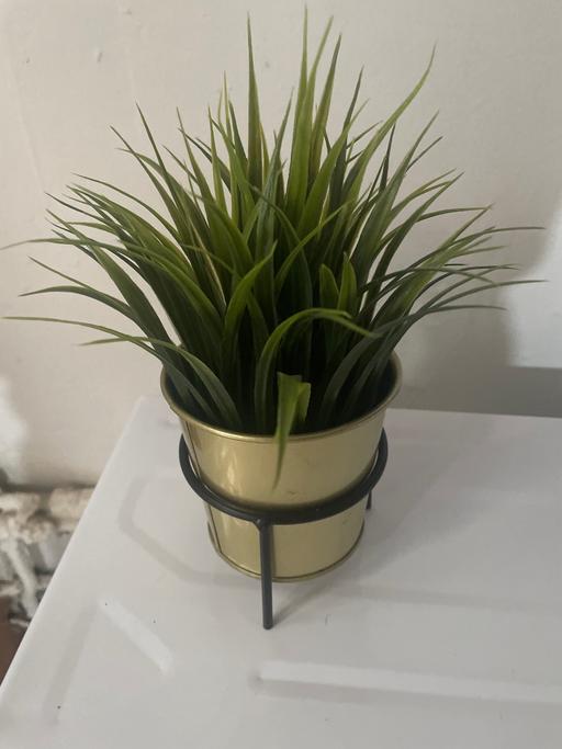 Buy & Sell Stechford Birmingham - Photos for Artificial plant
