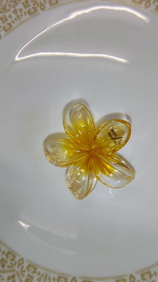 Buy & Sell West Bowling Bradford - Photos for flower design small hair clow clips 5 pieces