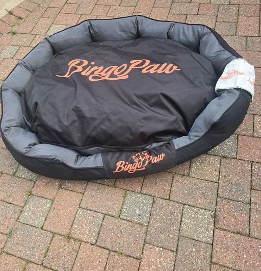 Buy & Sell Rainford Saint Helens - Photos for giant dog bed