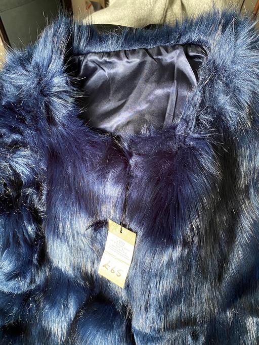 Buy & Sell Lessness Heath South East London - Photos for Faux fur blue