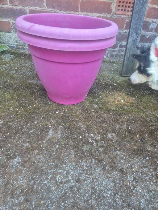 Buy & Sell Dodworth Barnsley - Photos for plant pots