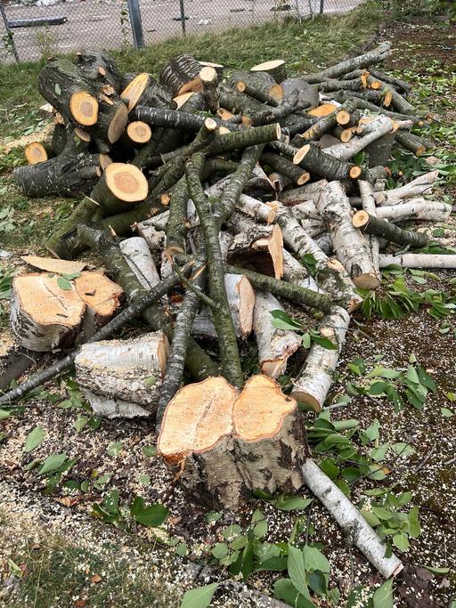 Buy & Sell Sparkhill Birmingham - Photos for Tree cutting and removal and hedges cutting
