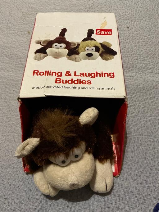 Buy & Sell Ringstead North Northamptonshire - Photos for Rolling laughing monkey