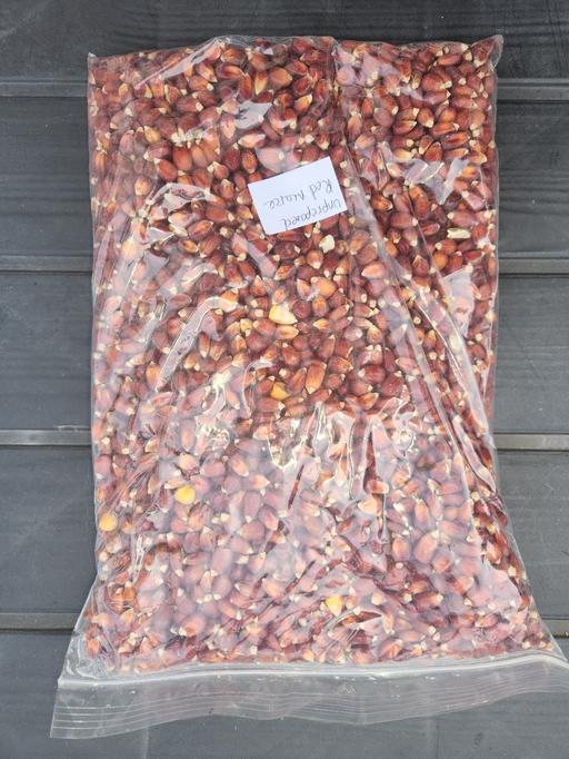 Buy & Sell Upper Gornal Dudley - Photos for 1kg bag unprepared red maize