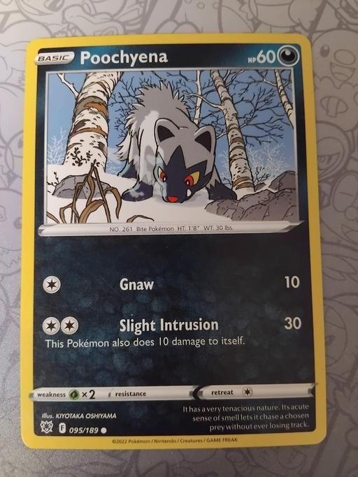 Buy & Sell Southwark Central London - Photos for Pokemon Poochyena 095/189