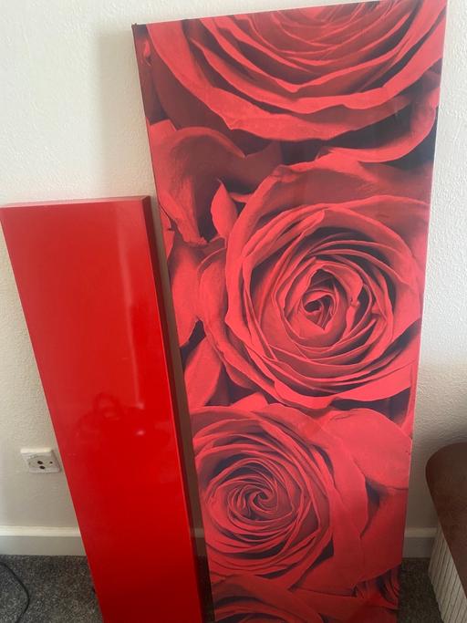 Buy & Sell Chaddesden Derby - Photos for Red rose canvas and red shelf