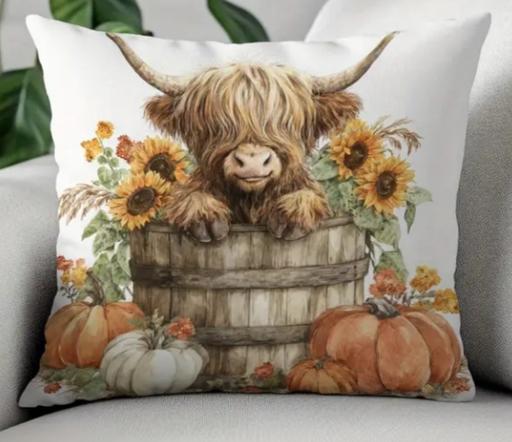 Buy & Sell Parkgate Rotherham - Photos for highland cow cushions