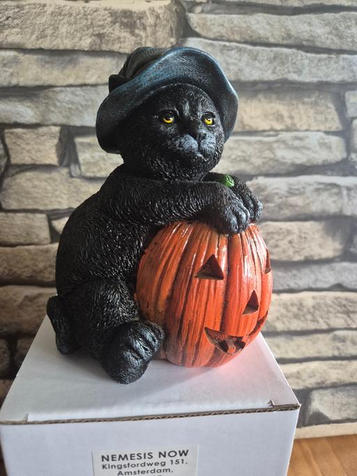Buy & Sell Marston Green Solihull - Photos for Cat With Pumpkin Ornament