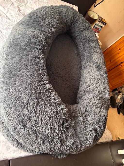 Buy & Sell Sheldon Birmingham - Photos for Human dog bed