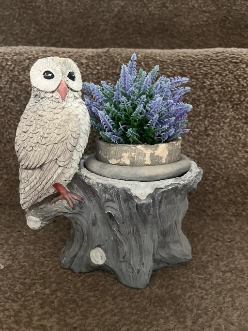 Buy & Sell Cadeby Doncaster - Photos for Artificial lavender in owl plant pot