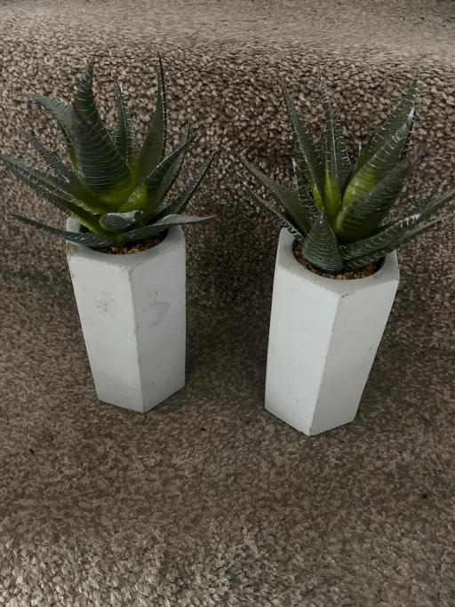 Buy & Sell Conisbrough Doncaster - Photos for standing artificial plant in grey