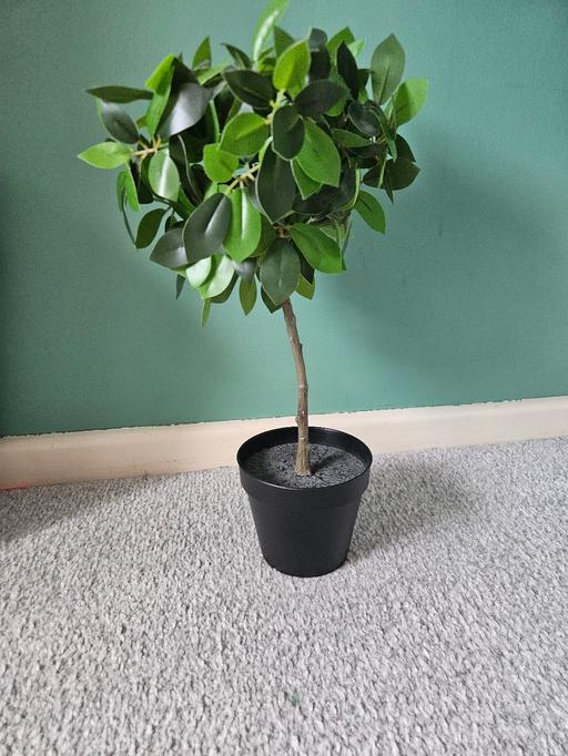 Buy & Sell Oxley Wolverhampton - Photos for Fake plant